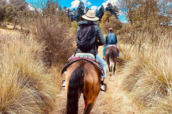 Ride Ajusco mountain trails & enjoy a ranch barbecue - An In-Depth Look at the Experience