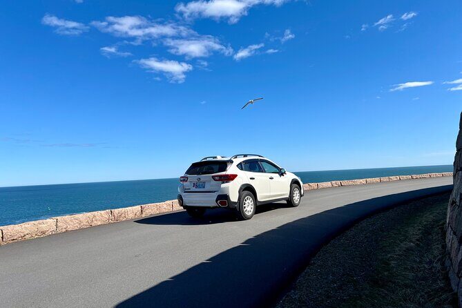 Ride in comfort - Who Will Appreciate This Service Most?