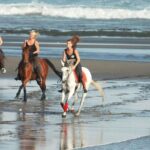 Riding a Horse to Enjoy the Extremely Black Sand Beach - Final Thoughts