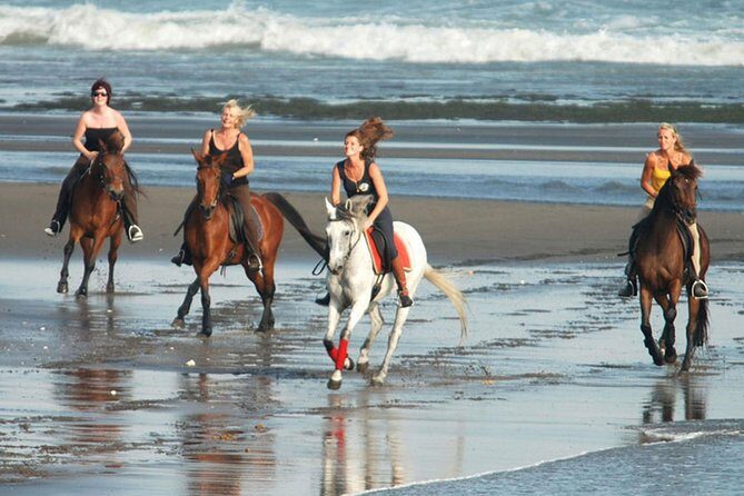 Riding a Horse to Enjoy the Extremely Black Sand Beach - Final Thoughts