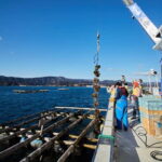 Rikuzentakata: The Finest Seafood and Culture Tour - Final Thoughts: Who Will Truly Enjoy This Tour?