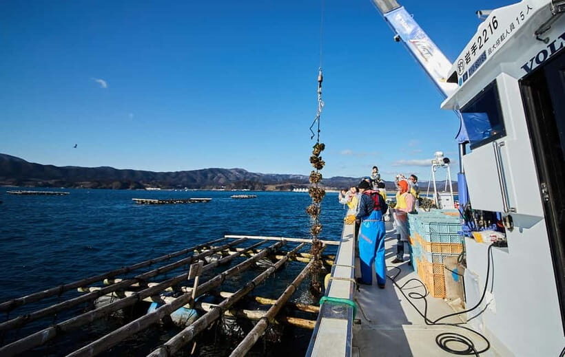 Rikuzentakata: The Finest Seafood and Culture Tour - Final Thoughts: Who Will Truly Enjoy This Tour?