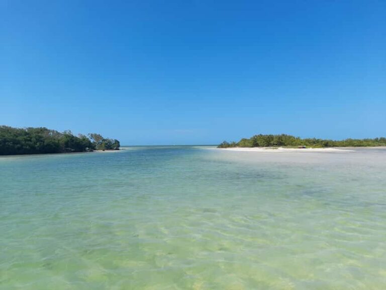 Rio Lagartos and San Felipe: Cerritos Island, adventure tour and Mayan culture. - Final Thoughts