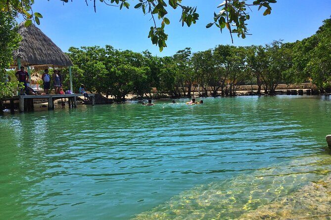 Rio Lizards and Las Coloradas Ecosafari Maya Natural Experience - The Itinerary: What to Expect