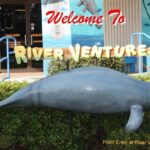 River Cruise Tour with Manatee Viewing - Pricing and Value