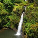 Road To Hana Black Sand Beach Waterfalls & Turtles Tour - Who Should Consider This Tour?