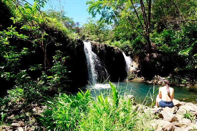 Road to Hana in Mercedes Van: Waterfalls and Black Sand Beach - Detailed Stop-by-Stop Breakdown