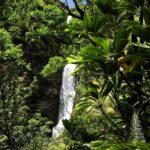 Road to Hana Luxury Limo-Van Tour with Helicopter Flight - Final Thoughts: Is This Tour Right for You?