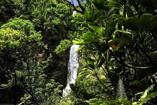 Road to Hana Luxury Limo-Van Tour with Helicopter Flight - Final Thoughts: Is This Tour Right for You?