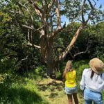 Road to Hana Maui Tours - Who This Tour Is Best For