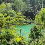 Roberto Barrios Waterfalls - A Close Look at the Roberto Barrios Waterfalls Tour