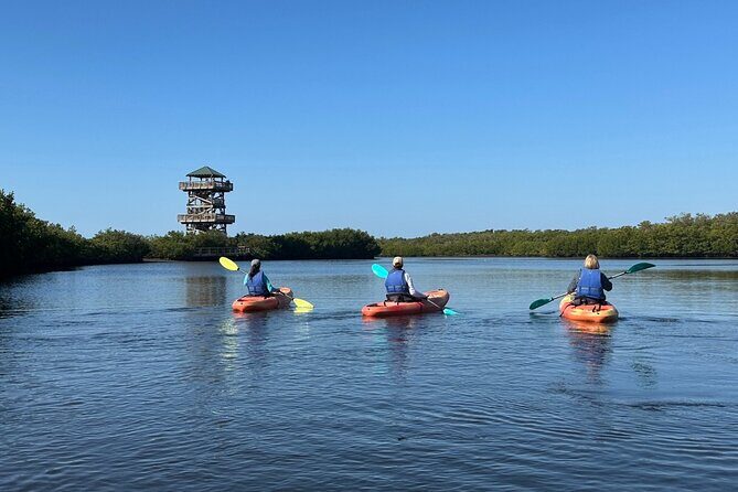 Robinson Preserve Mangrove Tour - Who Should Consider This Tour?