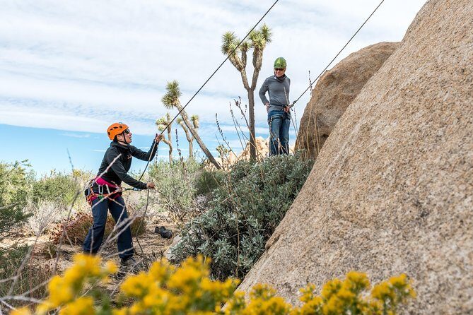 Rock Climbing Trips in Joshua Tree National Park (6 Hours) - Frequently Asked Questions