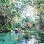 Rock Springs 2-Hour Glass Bottom Guided Kayak Eco Tour - FAQ