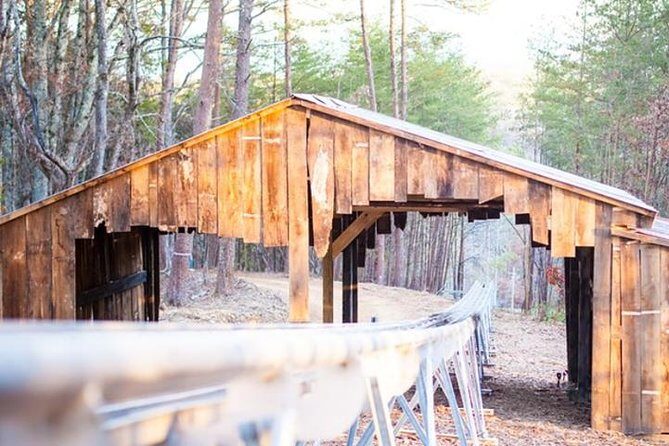 Rocky Top Mountain Coaster Admission Ticket in Pigeon Forge - The Scenic Aspect: More Than Just a Roller Coaster