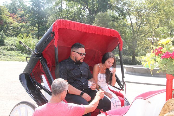 Romantic/Proposal Central Park Carriage Tour (Up to 4 Adults) - A Detailed Look at the Central Park Carriage Ride