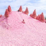 Romantic tour : Cherry blossom days in spring from Seoul - Final words