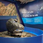 Royal Ontario Museum Admission - Who Will Love This Experience?
