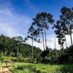 Rural Explorer Mountain Biking Tour Chiang Mai - The Sum Up: Is This the Right Tour for You?