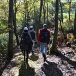 Rural Forestry Tour in Aso Minamioguni - Practical Details and What to Expect