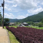 Rural Kyoto One Day Tour of a Tranquil Landscape in Ohara - Practical Details and What to Expect
