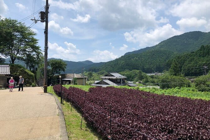 Rural Kyoto One Day Tour of a Tranquil Landscape in Ohara - Practical Details and What to Expect