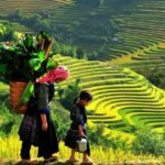 Sa Pa 2-Day Moderate Trek and Homestay Limousine Tour from Hanoi - Day Two: Trekking and Cultural Encounters