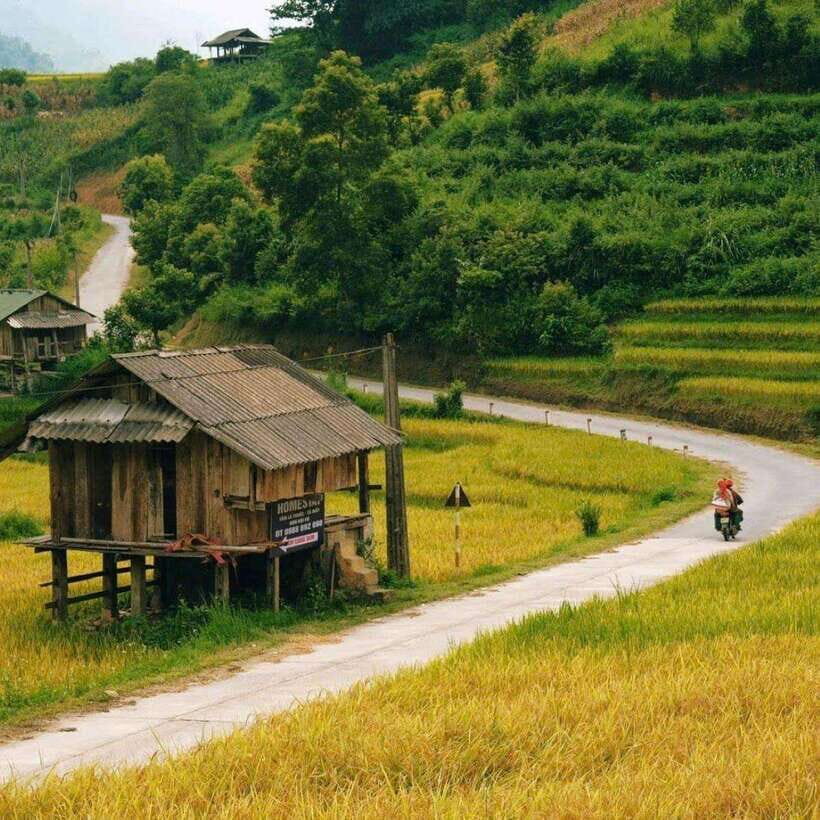 Sa Pa: 2-Day Trekking Tour with Ethnic Minority Homestay - Authentic Experiences and Cultural Insights
