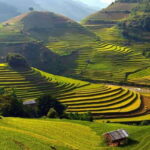 Sa Pa: Muong Hoa Valley Trek and Local Ethnic Villages - A Deep Dive into the Muong Hoa Valley Trek