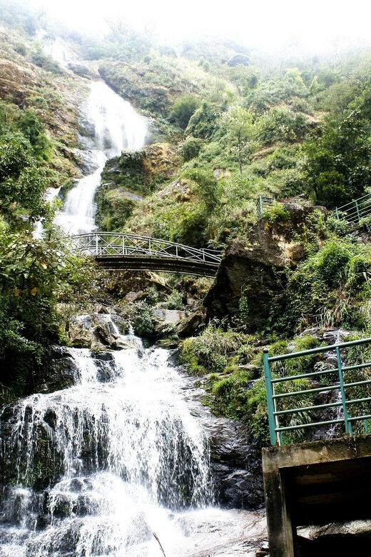 Sa Pa: The Roof of Indochina-Trek to Fansipan Peak Full Day - An In-Depth Look at the Fansipan Trek Experience