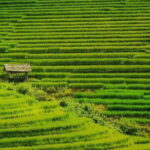 Sa Pa Trekking 2 Days 3 Nights Homestay by Night Train - Who Will Love This Tour?