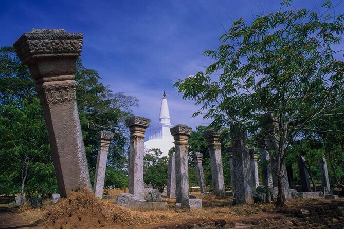 Sacred City of Anuradhapura from Colombo - Authentic Travel Experience and Practical Tips