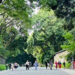 Sacred Morning Walk and Brunch Meiji Shrine - The Charm of a Hidden Café: Brunch in Harajuku