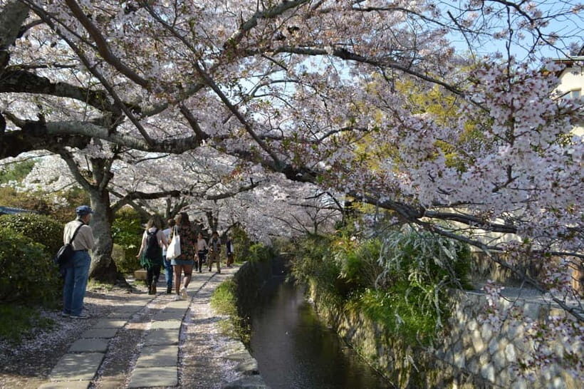 Sacred Pathways: Discover the Philosopher's Path of Kyoto - Authentic Insights from Travelers