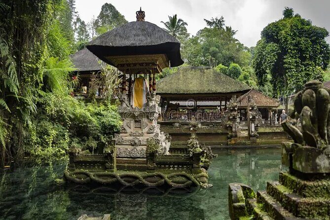 Sacred Places of Bali. Purification Ceremony in Indonesia - Who Will Love This Tour?