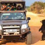 Safari Expedition's in Wild Wonders of Yala - Who Would Love This Tour?