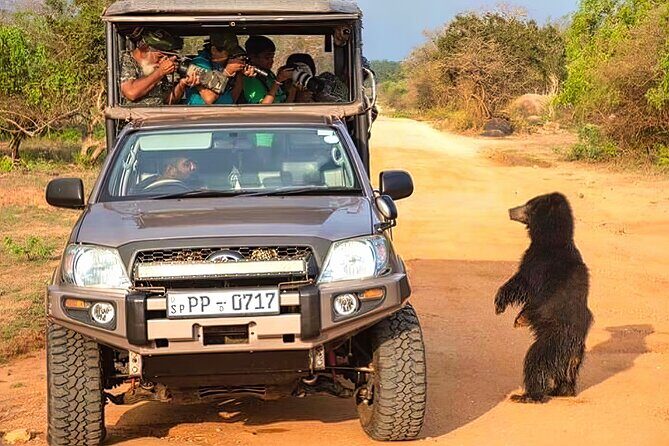 Safari Expedition's in Wild Wonders of Yala - Who Would Love This Tour?