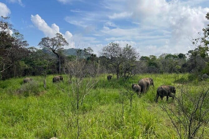 Safari Jeep in Hurulu Eco Park Sri Lanka wit Pigeon Island Tours - Authentic Feedback from Travelers