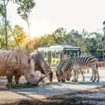 Safari Phu Quoc Ticket With Roundtrip Transfer - A Detailed Look at the Safari Phu Quoc Experience