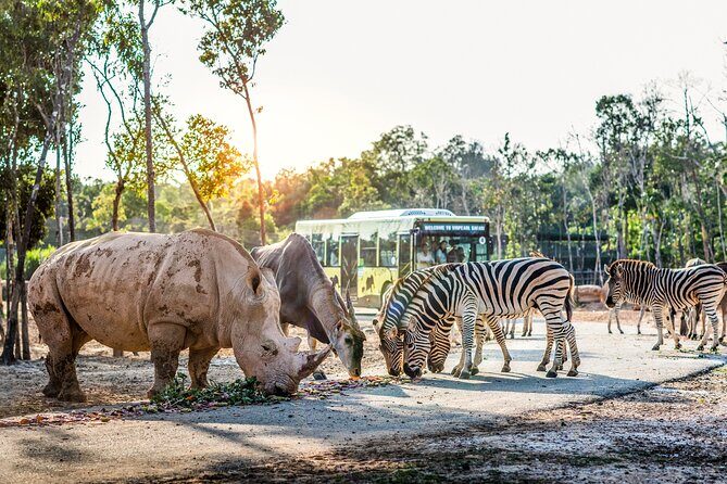 Safari Phu Quoc Ticket With Roundtrip Transfer - A Detailed Look at the Safari Phu Quoc Experience