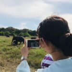 Safari Tour at Minneriya National Park - What to Expect on the Safari