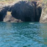 Saga: Karatsu Kunchi, Balloon, & Fox Wedding Festivals Tour - Practicalities and Tips for Your Festival Tour