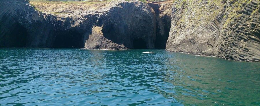 Saga: Karatsu Kunchi, Balloon, & Fox Wedding Festivals Tour - Practicalities and Tips for Your Festival Tour