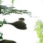 Sagar Gad: Full-Day Hill Fort Trekking from Mumbai - What to Expect & Tips for Your Day