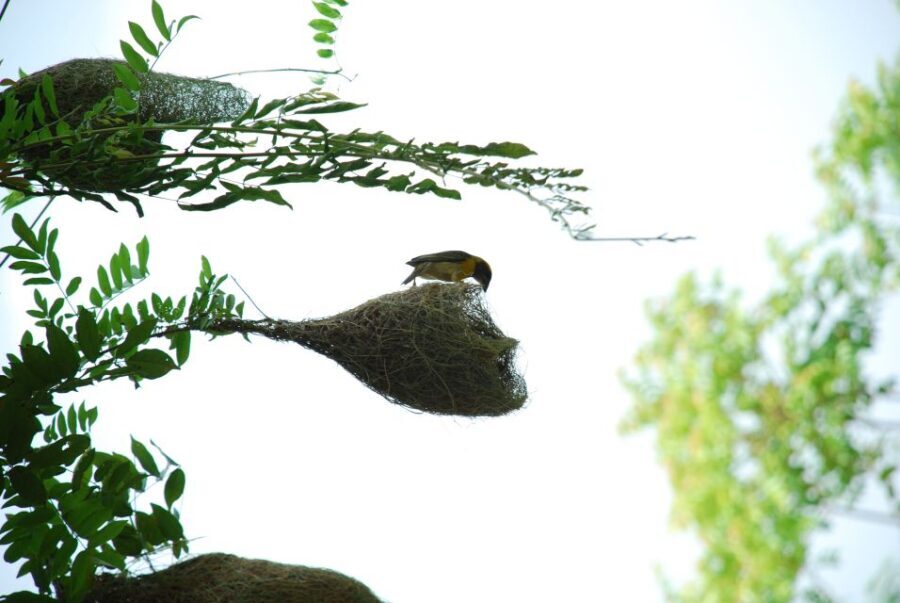 Sagar Gad: Full-Day Hill Fort Trekking from Mumbai - What to Expect & Tips for Your Day