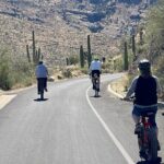Saguaro National Park East E-Bike Tour - The Itinerary in Detail: What to Expect