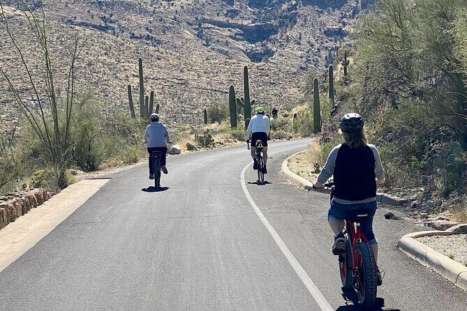 Saguaro National Park East E-Bike Tour - The Itinerary in Detail: What to Expect