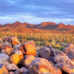 Saguaro National Park Self-Guided Audio Tour - Possible Drawbacks and Considerations