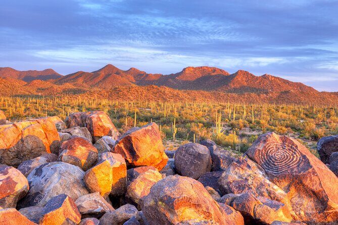 Saguaro National Park Self-Guided Audio Tour - Possible Drawbacks and Considerations