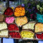 Saigon Historical City Tour - Who Will Love This Tour?